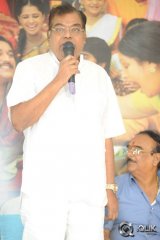 Govindhudu Andari Vaadele Movie Success Meet